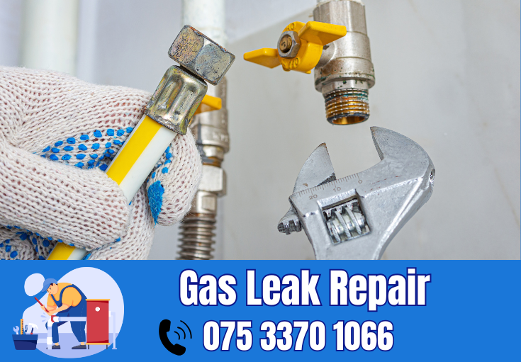 gas leak repair Ditton 