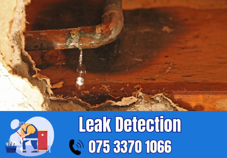 leak detection Ditton 